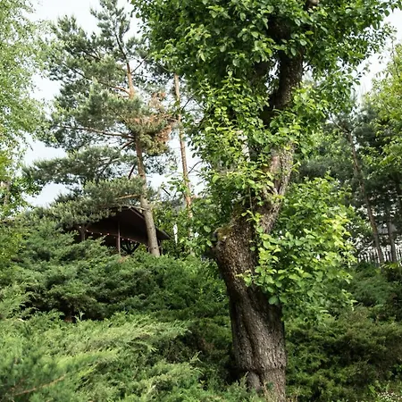 Gorczanskie